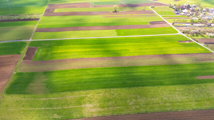 Aerial view of vibrant green agricultural fields with varying shades in spring. A winding road...