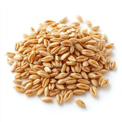 A close up shot of a pile of kamut grains on a white background surface