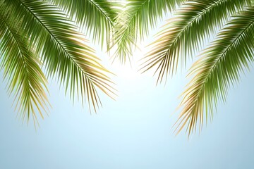 Naklejka premium Tropical Palm Leaves Summer Blue Sky Background