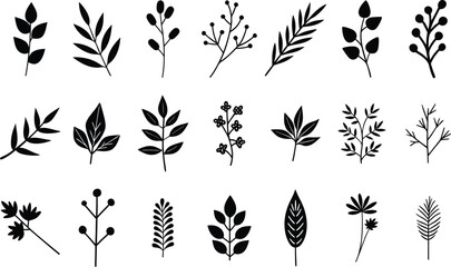Hand-drawn leaves botanical floral vector element set part 2 illustrations on transparent background