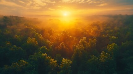 Naklejka premium Majestic Golden Hour Forest Aerial Photo With Fog And Sunlight Beams