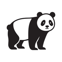 panda bear vector illustration