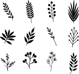 Hand-drawn leaves botanical floral vector element set part 1 illustrations on transparent background
