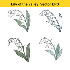  lily of the valley drawing, lily of the valley watercolor 