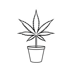 Cannabis in pot silhouette as a plant