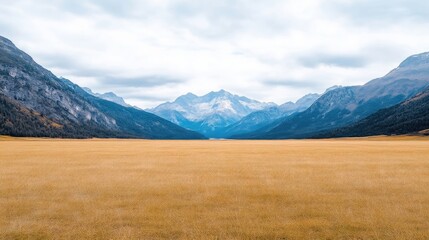 Fototapeta premium Expansive golden meadow stretching towards majestic mountain range