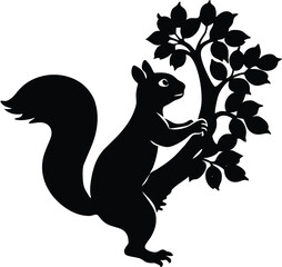 Silhouette of Squirrel climbing tree

