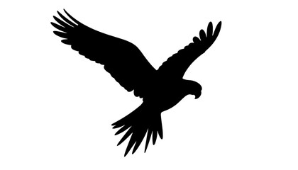Eagle silhouette flying against a white background -  