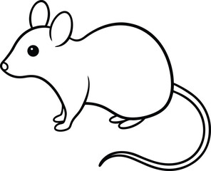 black and white rabbit