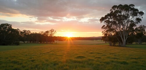 Sunset over Frankland River. Australian farmland landscape, fence-line in foreground. Golden hour sky. Rural scenery with trees, green grass, and water reflections at dusk. Beautiful nature scene.