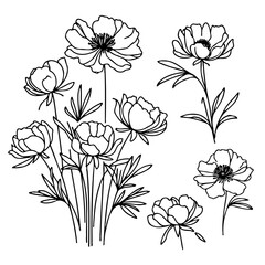 Set outline peony spring, doodle Collection floral stems. Hand drawn Botanical drawing. Detailed line art peonies illustration. Simple Stylized anemone flowers. Black and White blossom sketch
