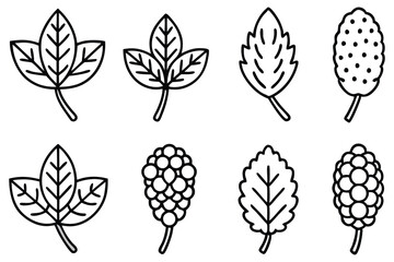 Alder Wood Graphic