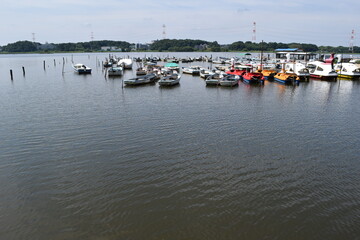 手賀沼 千葉県北部の湖沼