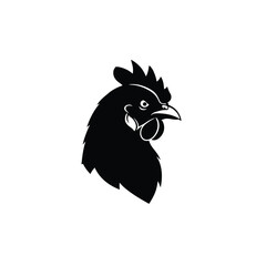 rooster isolated on white background