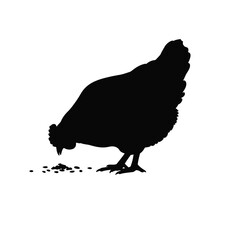 silhouette of chicken