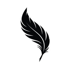 feather vector illustration