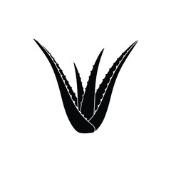 Black Silhouette Of Aloe Vera Plant Isolated On White Background For Design