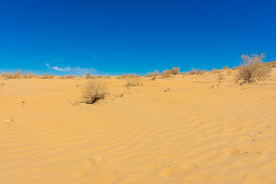 Landscape of the sand dunes of the Kyzylkum Desert,  Uzbekistan