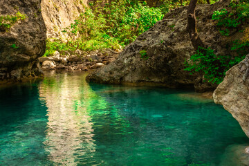 Naklejka premium Crystal clear waters of natural springs and lake in the woods of the Mount Olympus, Greece