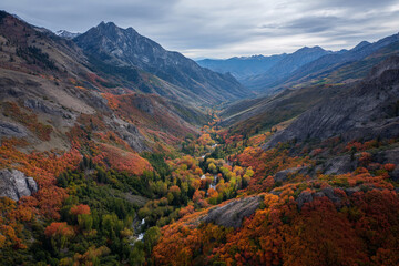 Aerial view of mountain valley in autumn, showcasing vibrant red, orange, and yellow foliage contrasting with gray rocks, creating a picturesque landscape ideal for nature or travel themes