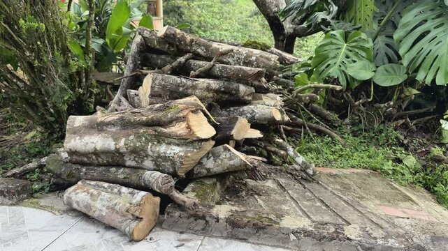 Madera cortada para usar en fogata