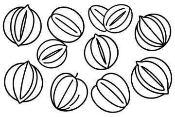 Chokecherry Different Types Set