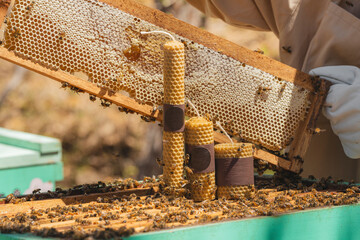 Beeswax candles with honeycomb and bees on beehive frame