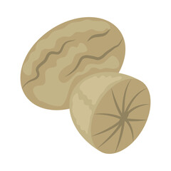 indian spice Nutmeg Seed Whole Brown Organic