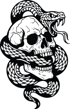 Snake Viper Skull tattoo. Snake wrapped around skull vector illustration. Old School Detailed vector illustration of a venomous snake coiled around a human skull, symbolizing danger and death.