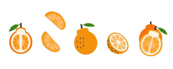 Jeju hallabong orange singapore korea fruits vector set. Perfect art for stickers, poster, label, sale, card. Hand drawn illustration for decor and design.