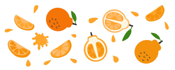 Juicy hallabong korean citrus fruit vector collection. Perfect for stickers, poster, label, sale, card. Hand drawn illustration isolated on a white background.
