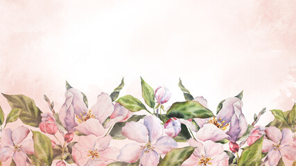 Watercolor illustration of an apple tree branch with blooming pink flowers, green leaves, buds. Floral banner. Hand painted botanical set perfect for invitations, cards, spring designs, and packaging