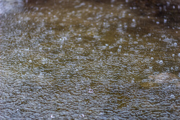 Raindrops on the surface of the puddle. Abstract background.