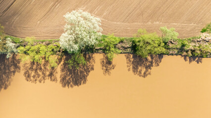 Aerial view of a river bank featuring lush greenery and a muddy river, showcasing natural textures...