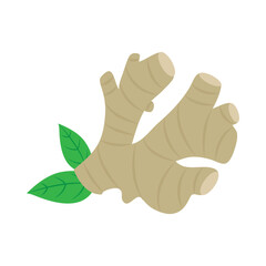 indian spice Ginger Root Fresh