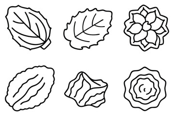 Elm Leaves Collection for Design