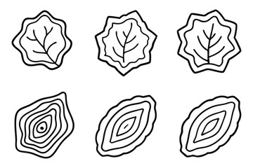 Elm Plant Species Line Art Set