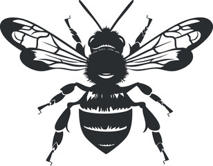 Obraz premium A detailed black and white illustration of a bee showcasing its wings and body structure.