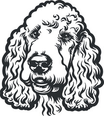 Fototapeta premium Illustration of a poodle dog head showcasing its distinctive curly fur and friendly expression