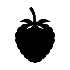 nance fruit minimalist silhouette vector icon - for graphic design projects nance, Modern Artwork.