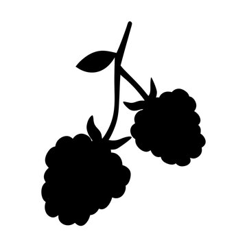 recommend clip art: blackberries fruit minimalist silhouette vector icon - for graphic design projects blackberries, Modern Artwork.