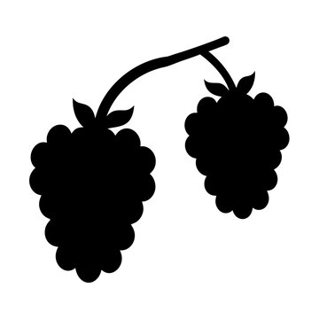 recommend clip art: blackberries fruit minimalist silhouette vector icon - for graphic design projects blackberries, Modern Artwork.