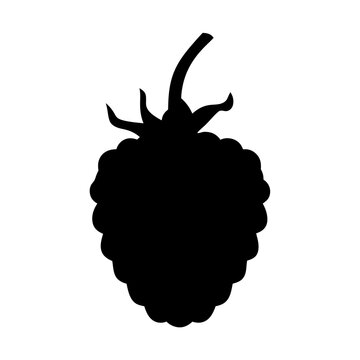 recommend clip art: blackberries fruit minimalist silhouette vector icon - for graphic design projects blackberries, Modern Artwork.