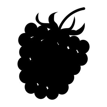 recommend clip art: boysenberry fruit minimalist silhouette vector icon - for graphic design projects boysenberry, Modern Artwork.
