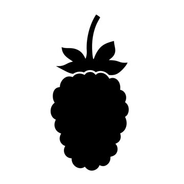 recommend clip art: boysenberry fruit minimalist silhouette vector icon - for graphic design projects boysenberry, Modern Artwork.
