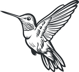 Fototapeta premium A detailed illustration of a hummingbird in flight showcasing its elegant wings and features.