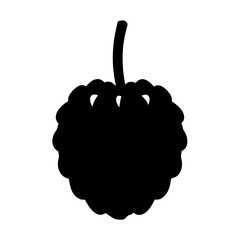 custard apple fruit minimalist silhouette vector icon - for graphic design projects custard apple, Modern Artwork.