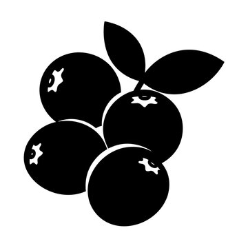 recommend clip art: cranberry fruit minimalist silhouette vector icon - for graphic design projects cranberry, Modern Artwork.