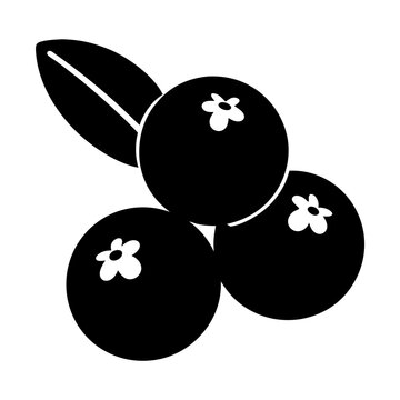 black berries with leaf clip art preview