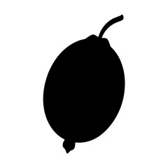 Obraz premium gooseberry fruit minimalist silhouette vector icon - for graphic design projects gooseberry, Modern Artwork.